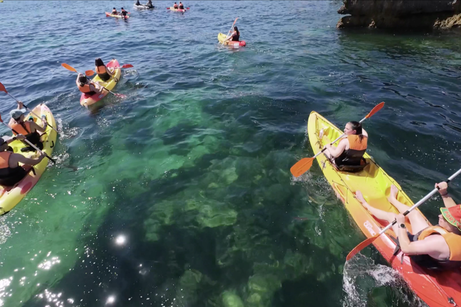 Screenshot 2026-03-02 at 02.19.39